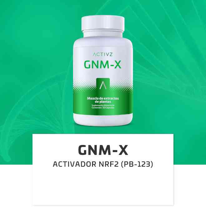 GNM-X